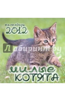 Календарь на 2012 год 