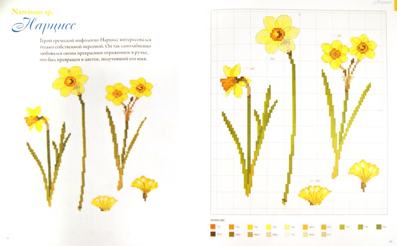 Иллюстрация 1 из 26 для Садовые цветы, вышитые крестом - Вероник Ажинер | Лабиринт - книги. Источник: Лабиринт