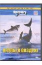 Акулы в воздухе. Региональное издание(DVD). Курр Джеф