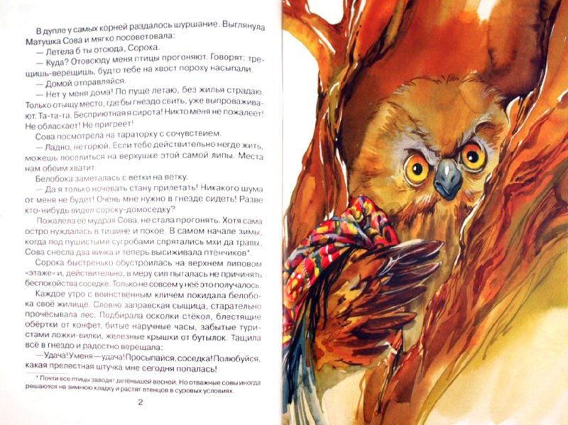 Иллюстрация 1 из 26 для Удачная находка Сороки-белобоки - Светлана Ананич | Лабиринт - книги. Источник: Лабиринт
