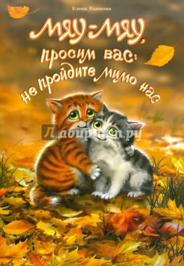 Мяу-Мяу, просим вас: не пройдите мимо нас