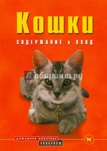 Кошки. Содержание и уход