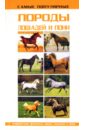 Самые популярные породы лошадей и пони