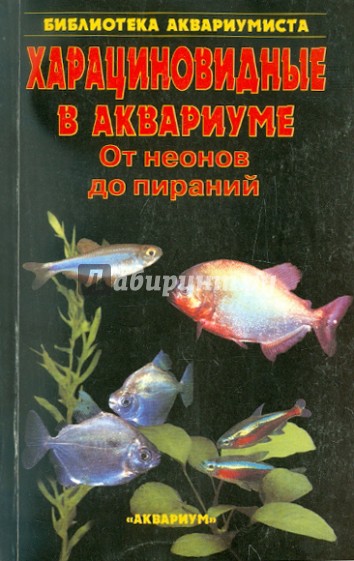 Харациновидные в аквариуме. От неонов до пираний