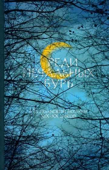 "Среди печальных бурь": Из польской поэзии XIX-XXв