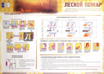 Правила поведения в чрезвычайных ситуациях природного характера (5 плакатов)