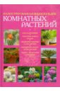 Иллюстрированная энциклопедия комнатных растений