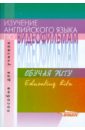 Изучение английского языка по видеофильмам. Обучая Риту. Пособие для учителя - Новикова И. А.