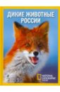 Дикие животные России раскраска с наклейками дикие животные россии