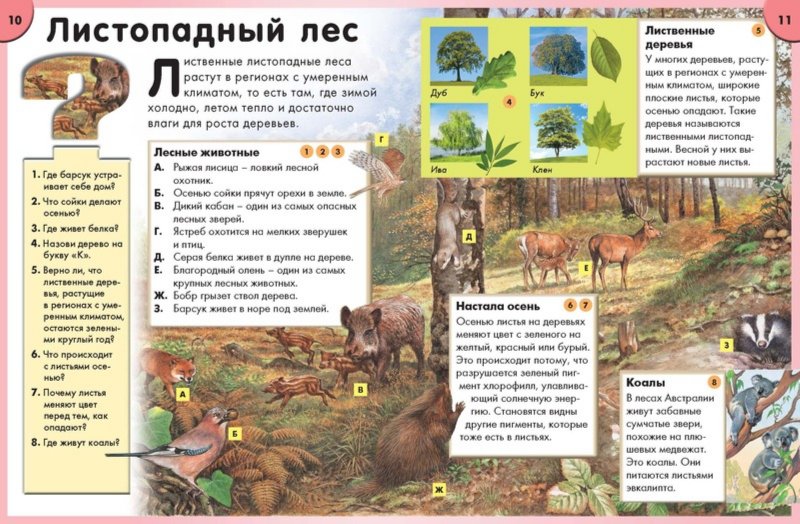 Иллюстрация 3 из 43 для Природа. Интерактивная энциклопедия | Лабиринт - книги. Источник: Лабиринт