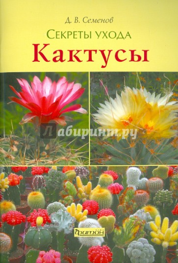 Кактусы