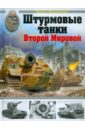 Барятинский Михаил Борисович Штурмовые танки Второй Мировой цена и фото