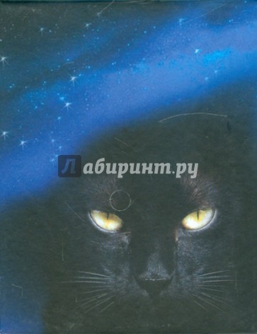 Магический блок для записей "Черная Кошка"