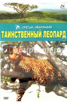 Таинственный леопард (DVD). Мэтьюс Р.