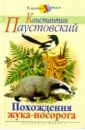 Похождения жука-носорога - Паустовский Константин Георгиевич