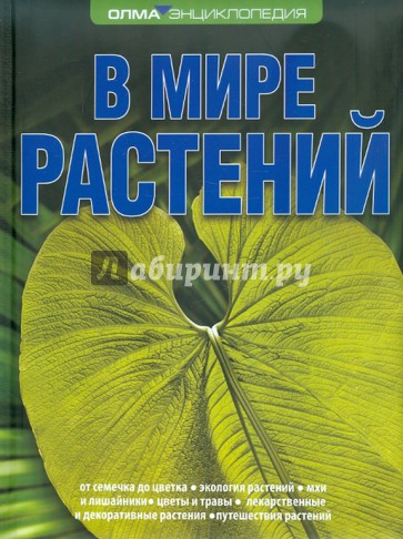 В мире растений