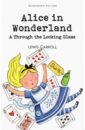 Carroll Lewis Alice in Wonderland & Through the Looking-Glass