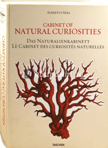 Cabinet of Natural Curiosities