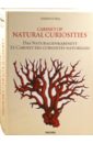 Musch Irmgard, Rust Jes, Willmann Rainer Cabinet of Natural Curiosities seba albertus seba cabinet of natural curiosities