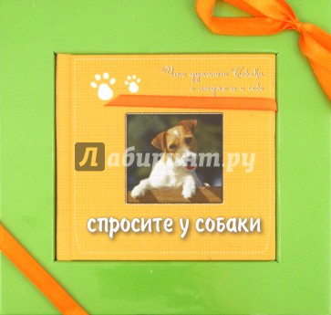 Спросите у собаки: что думают собаки о людях