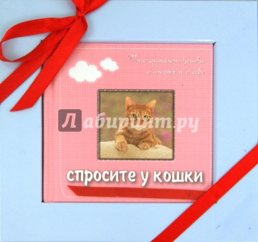 Спросите у кошки: что думают кошки о людях и о себе