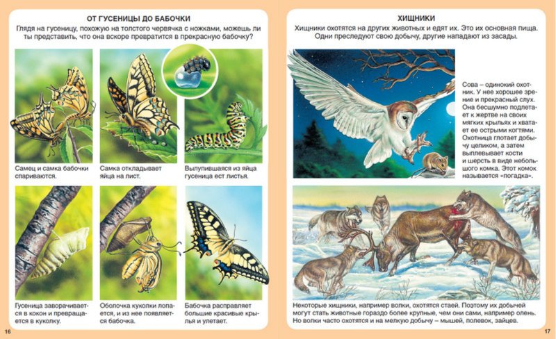 Иллюстрация 3 из 21 для Загадки природы | Лабиринт - книги. Источник: Лабиринт