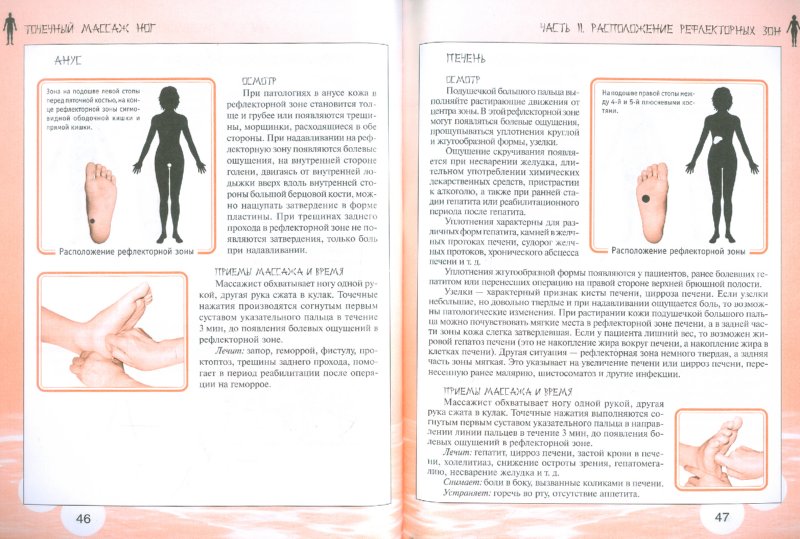 Иллюстрация 1 из 8 для Точечный массаж ног | Лабиринт - книги. Источник: Лабиринт