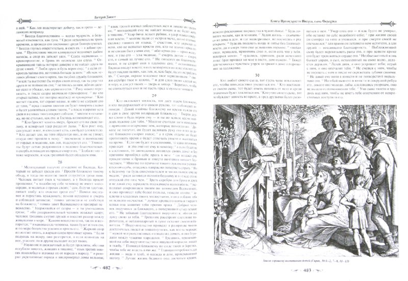 Иллюстрация 2 из 15 для Иллюстрированная Библия с гравюрами | Лабиринт - книги. Источник: Лабиринт