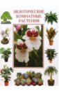 Экзотические комнатные растения пальмы кактусы папоротники и другие экзотические комнатные растения