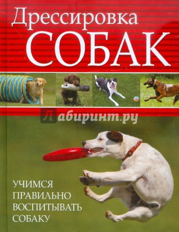 Дрессировка собак. Учимся правильно воспитывать собаку