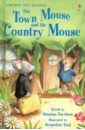 цена Davidson Susanna The Town Mouse and The Country Mouse