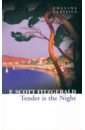 Fitzgerald Francis Scott Tender Is The Night zeitun temptation and pleasure set