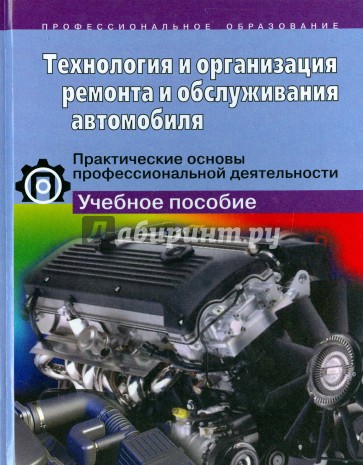 Организация и технология строительных каменных работ. Практич. основы проф.деятельности: Уч. пособие