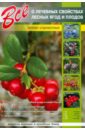 Все о лечебных свойствах лесных ягод и плодов