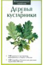 Деревья и кустарники