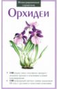 Орхидеи орхидеи