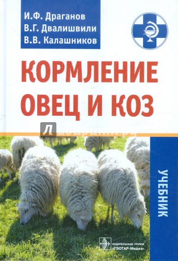 Кормление овец и коз