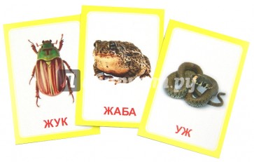 Логопедические карточки "Логопедка Ж"