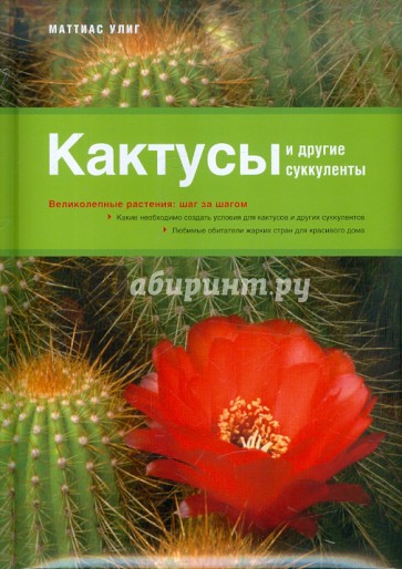 Кактусы и другие суккуленты