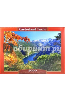 Puzzle-2000      (C-200399)