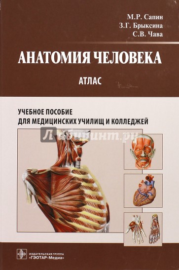 Анатомия человека: атлас: учебное пособие для педагогических вузов