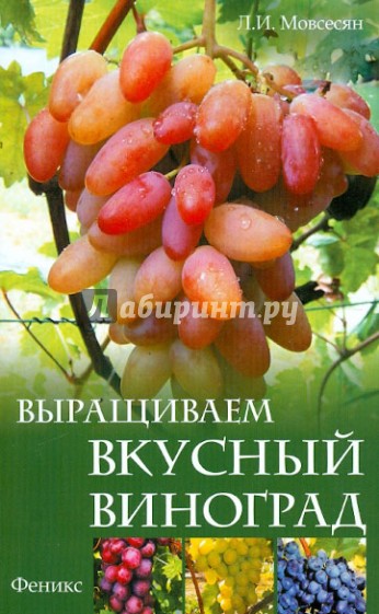 Выращиваем вкусный виноград