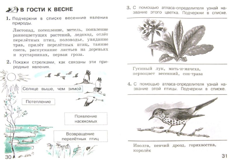 плешаков а.а электронное приложение к учебнику окружающий мир 2 класс