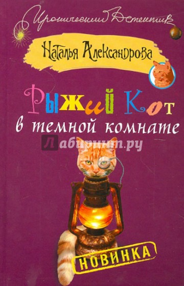 Рыжий кот в темной комнате