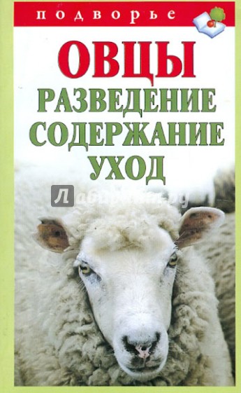 Овцы. Разведение. Содержание. Уход