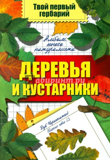 Деревья и кустарники