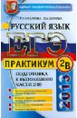 ЕГЭ 2013. Практикум по русскому языку: подготовка к выполнению части 2 (В) - Назарова Татьяна Николаевна, Скрипка Елена Николаевна