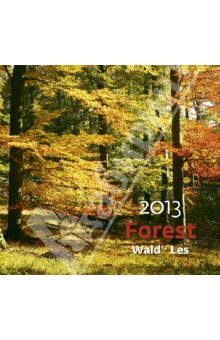 Календарь 2013. Forest/Лес.
