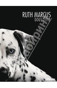 Календарь на 2013 год. Собаки. Рут Маркус (75571).