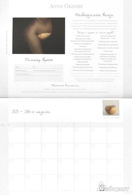 Иллюстрация 1 из 12 для Календарь моей беременности - Анне Геддес | Лабиринт - книги. Источник: Лабиринт